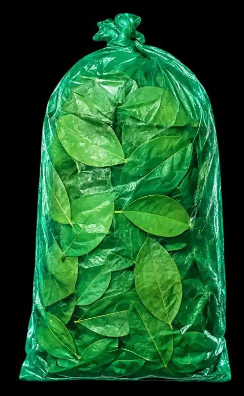 Coca Natural